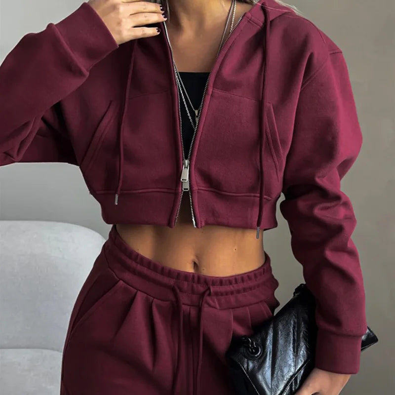 Casual Sport Tracksuit Women Hooded Two Pieces Set Sweatshirts Zipper Solid High Waist Pockets Pants Suit Outwear