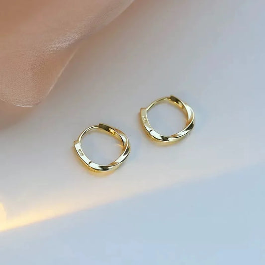 925 Sterling Silver Round Earrings Temperament Simple Inlaid for Women