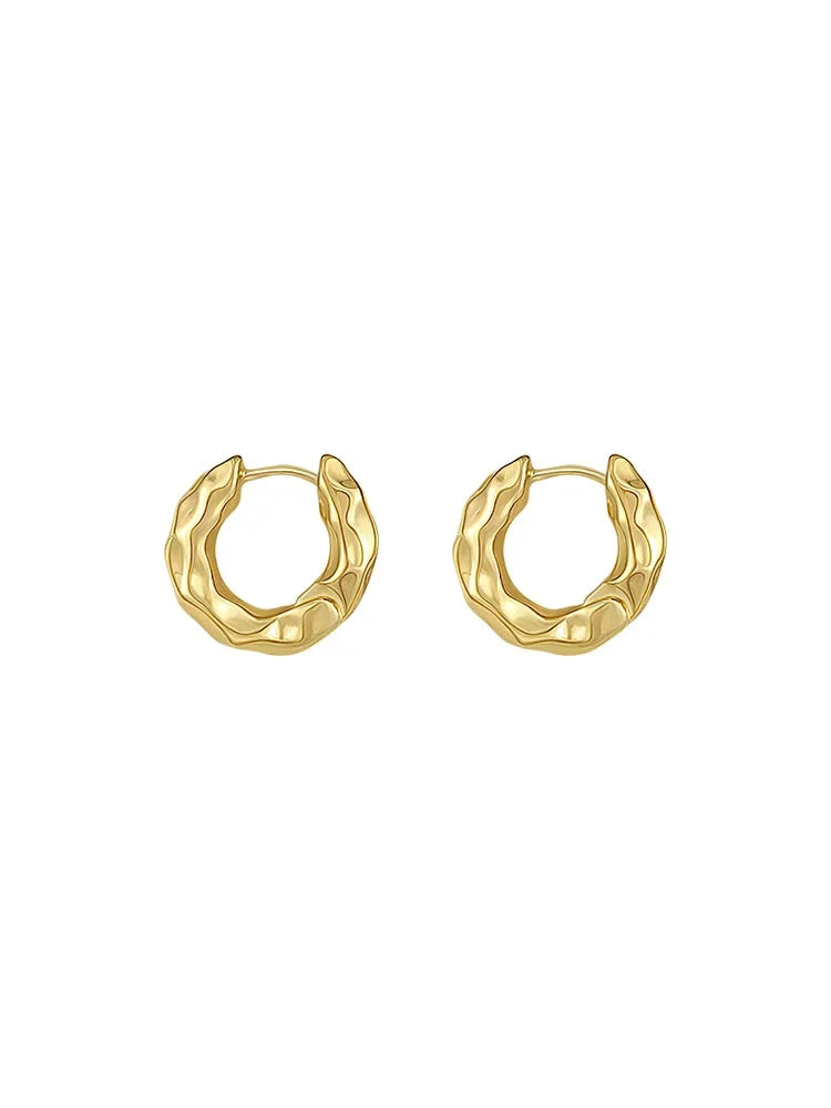 Trendy 925 Sterling Silver Circle Earrings for Women Real Silver Ear Hoop Earrings